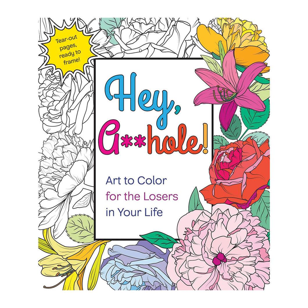 Hey A**hole Coloring Book
